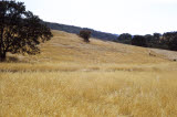 Select an image to enlarge