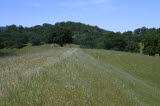 Select an image to enlarge