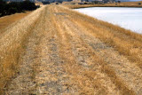 Select an image to enlarge