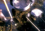Select an image to enlarge