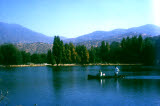 Select an image to enlarge