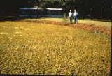 Select an image to enlarge