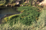 Select an image to enlarge