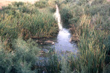 Select an image to enlarge