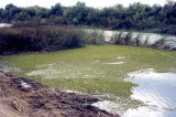 Select an image to enlarge