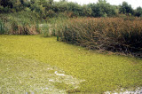 Select an image to enlarge