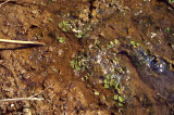 Select an image to enlarge
