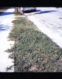 Select an image to enlarge