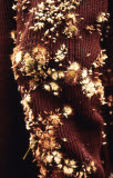 Select an image to enlarge