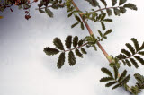 Select an image to enlarge