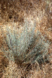 Select an image to enlarge