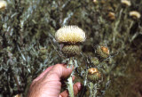Select an image to enlarge