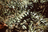 Select an image to enlarge