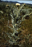 Select an image to enlarge