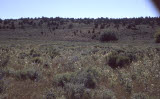Select an image to enlarge