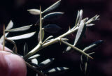 Select an image to enlarge
