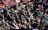 Select an image to enlarge