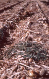 Select an image to enlarge