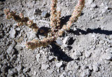 Select an image to enlarge