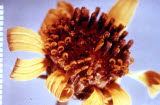 Select an image to enlarge