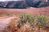 Select an image to enlarge