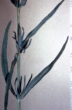 Select an image to enlarge