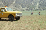 Select an image to enlarge