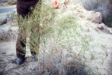 Select an image to enlarge