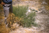 Select an image to enlarge