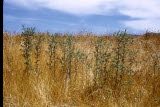 Select an image to enlarge