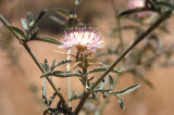Select an image to enlarge