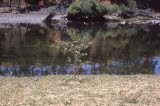 Select an image to enlarge