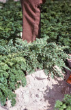 Select an image to enlarge