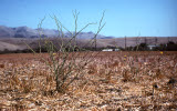 Select an image to enlarge