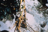 Select an image to enlarge