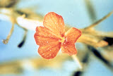 Select an image to enlarge