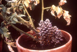 Select an image to enlarge