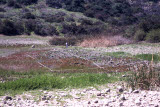 Select an image to enlarge