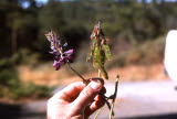 Select an image to enlarge