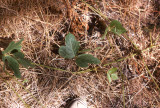 Select an image to enlarge