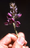 Select an image to enlarge