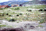 Select an image to enlarge