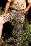 Select an image to enlarge