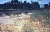 Select an image to enlarge