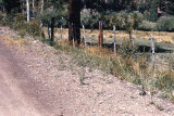 Select an image to enlarge