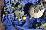 Select an image to enlarge