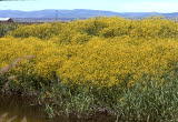 Select an image to enlarge