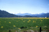 Select an image to enlarge