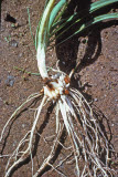Select an image to enlarge