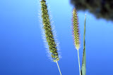 Select an image to enlarge